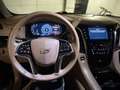 Cadillac Sonstige Cadillac Escalede Platinum - thumbnail 8