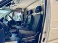 Fiat Ducato 2.3 D L2H2 3,5t KLIMA AHK NAVI CAM TEMPOM Weiß - thumbnail 13