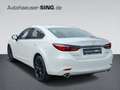 Mazda 6 Homura Automatik BOSE Keyless 360° Schiebedach Weiß - thumbnail 3