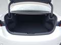 Mazda 6 Homura Automatik BOSE Keyless 360° Schiebedach Weiß - thumbnail 9