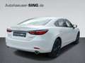 Mazda 6 Homura Automatik BOSE Keyless 360° Schiebedach Weiß - thumbnail 5
