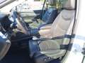Cadillac XT5 3.6L V6 AWD AT Premium Weiß - thumbnail 11