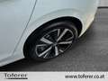 Volkswagen Golf Falco Edition mHEV DSG Weiß - thumbnail 13