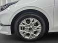 Kia Ceed / cee'd Ceed 1.0 T-GDI Vision | Navi | RFK | PDC | RLS Weiß - thumbnail 17
