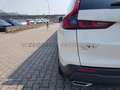 Honda CR-V CR-V 2.0 hev Elegance awd Weiß - thumbnail 19