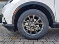 Honda CR-V CR-V 2.0 hev Elegance awd Weiß - thumbnail 6