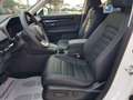 Honda CR-V CR-V 2.0 hev Elegance awd Weiß - thumbnail 13