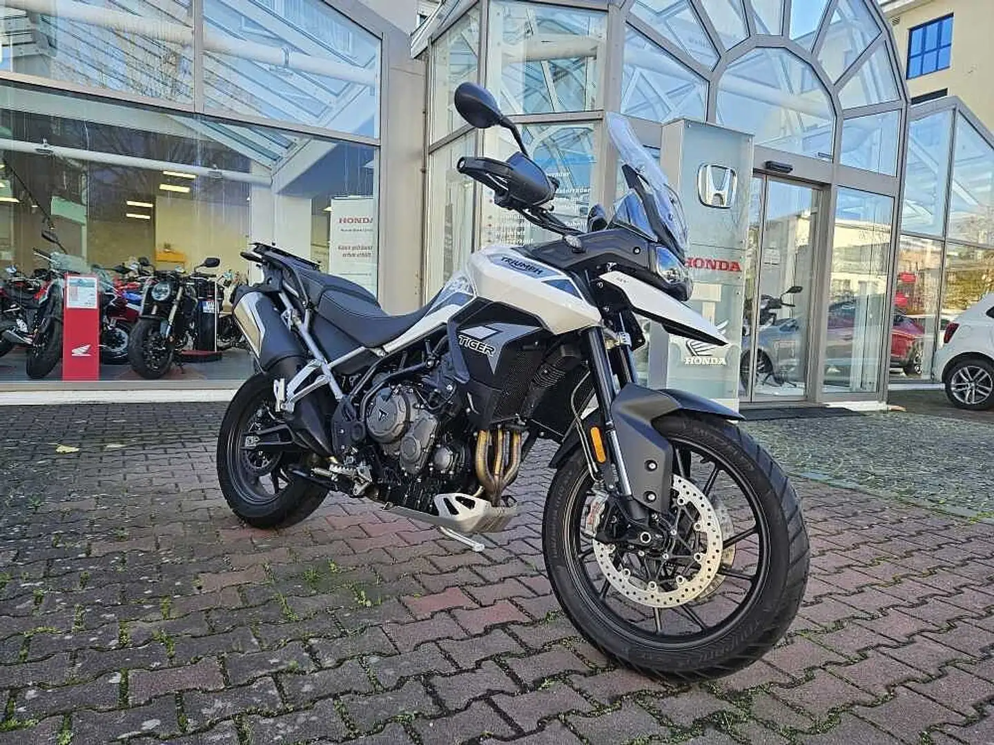 Triumph Tiger 900 GT Blanc - 2