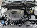 Mazda 2 Mazda2 e-Skyactiv G90 Homura Weiß - thumbnail 18