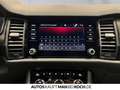 Skoda Kodiaq 2.0 TDI DSG 4x4 SPORTLINE STANDHZG CANTON Grau - thumbnail 13