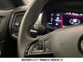 Skoda Kodiaq 2.0 TDI DSG 4x4 SPORTLINE STANDHZG CANTON Grau - thumbnail 19