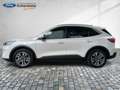 Ford Kuga PHEV Titanium Navi 2xKamera Glasdach Bianco - thumbnail 7