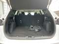Ford Kuga PHEV Titanium Navi 2xKamera Glasdach Bianco - thumbnail 16