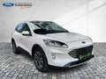 Ford Kuga PHEV Titanium Navi 2xKamera Glasdach Bianco - thumbnail 15