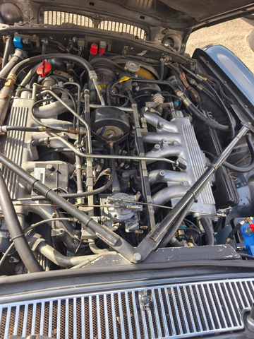 Daimler Double Six 1990