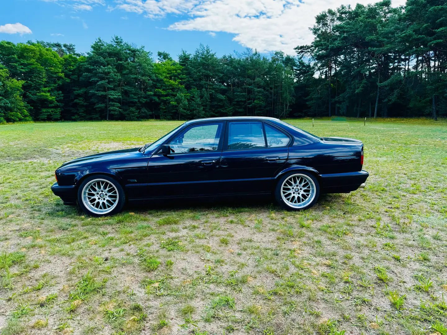 BMW 530 530i V8 - 2