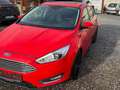Ford Focus Focus  1.5 EcoBoost Start-Stopp-SBusiness Edition Rot - thumbnail 6