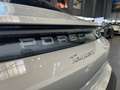 Porsche Taycan Beige - thumbnail 15