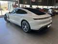 Porsche Taycan Beige - thumbnail 2