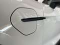 Porsche Taycan Beige - thumbnail 9