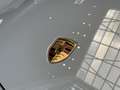 Porsche Taycan Beige - thumbnail 6