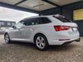 Skoda Superb 2.0 TDI DSG,STANDH,AHK,LED,KAMERA,VIRTUAL Weiß - thumbnail 5