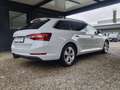 Skoda Superb 2.0 TDI DSG,STANDH,AHK,LED,KAMERA,VIRTUAL Weiß - thumbnail 3