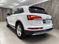 Audi Q5 40 TDI quattro Weiß - thumbnail 6