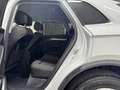 Audi Q5 40 TDI quattro Weiß - thumbnail 11