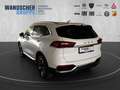 GWM WEY 03 WEY03 Luxury 2WD ACC DMS FCW TJA BSD LCA Weiß - thumbnail 5
