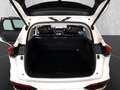 GWM WEY 03 WEY03 Luxury 2WD ACC DMS FCW TJA BSD LCA Weiß - thumbnail 17