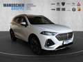 GWM WEY 03 WEY03 Luxury 2WD ACC DMS FCW TJA BSD LCA Weiß - thumbnail 9