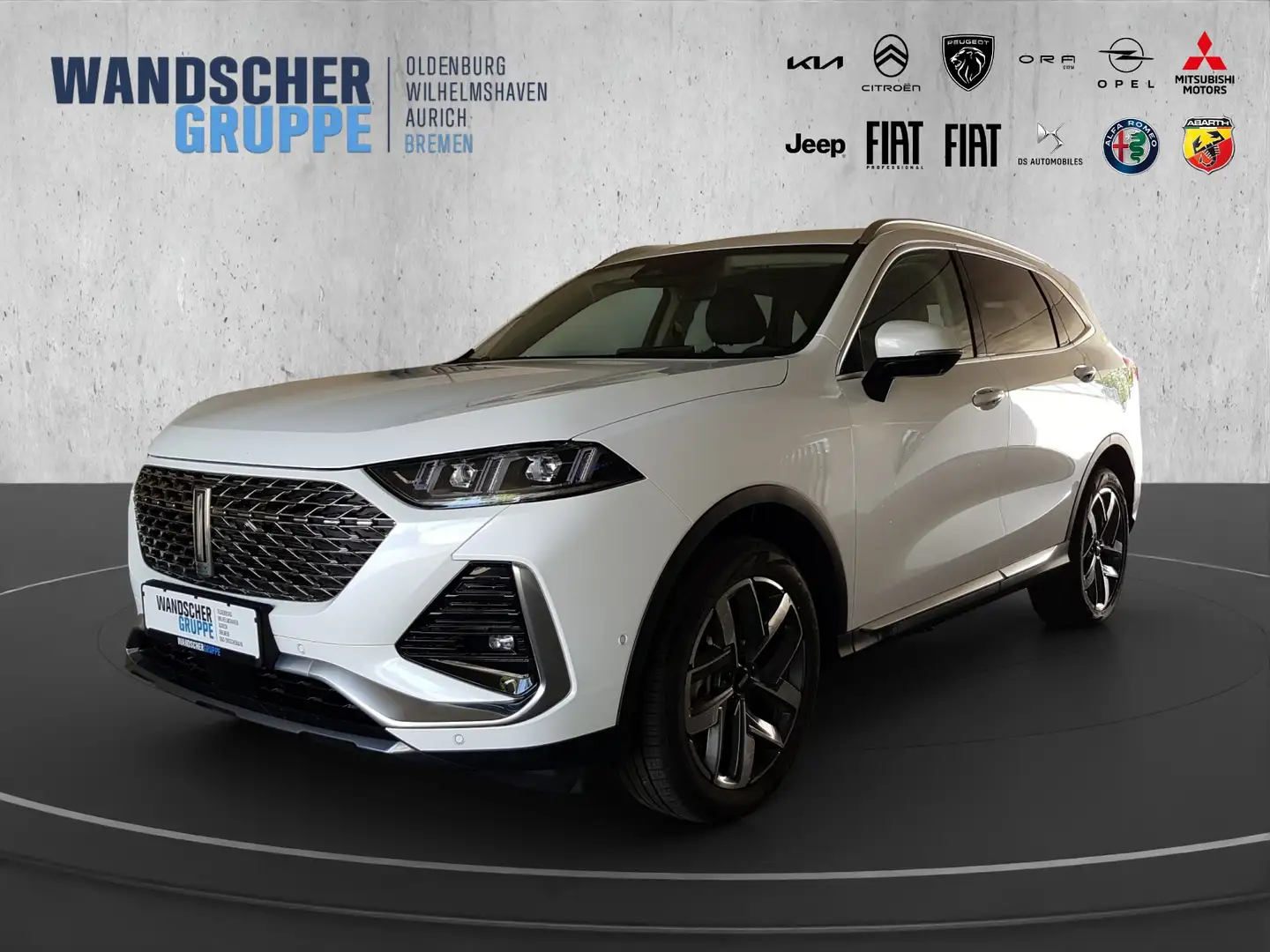 GWM WEY 03 WEY03 Luxury 2WD ACC DMS FCW TJA BSD LCA Weiß - 1