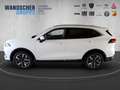 GWM WEY 03 WEY03 Luxury 2WD ACC DMS FCW TJA BSD LCA Weiß - thumbnail 4