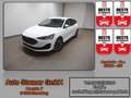 Ford Focus Turnier 1.0 EcoBoost MHEV Titanium/KAMERA/ Weiß - thumbnail 1