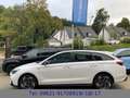 Hyundai i30 cw  1.5 T-GDI (140PS) 48V 7-DCT 2WD N Line Wit - thumbnail 21
