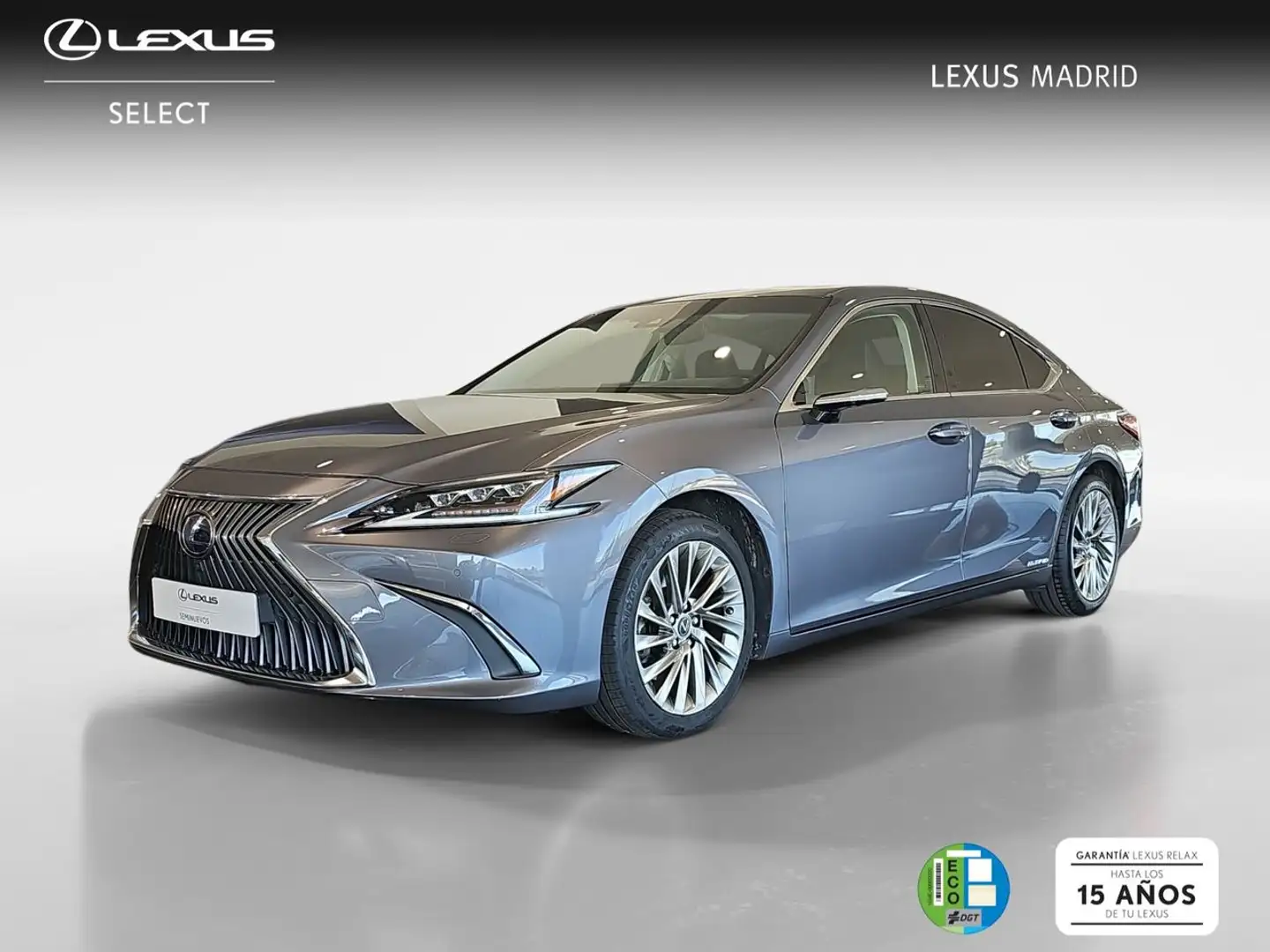 Lexus ES 300 2.5 300h Luxury D-View Gris - 1