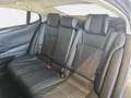 Lexus ES 300 2.5 300h Luxury D-View Gris - thumbnail 9