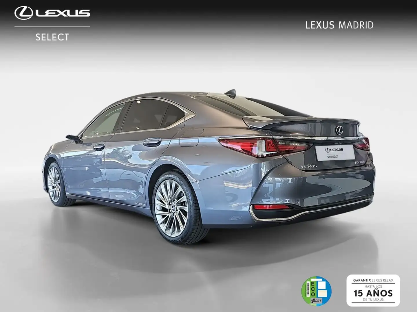 Lexus ES 300 2.5 300h Luxury D-View Gris - 2