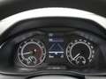 Skoda Kamiq 1.0 TSI Ambition Climate / Cruise / Sensoren Grijs - thumbnail 14