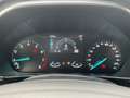 Ford Focus Titanium Edition MHEV Turnier *LED*RFK*PDC Grau - thumbnail 14