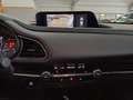 Mazda CX-30 Executive 2.0 Mild-Hybrid 122cv 6MT 2WD Bianco - thumbnail 12