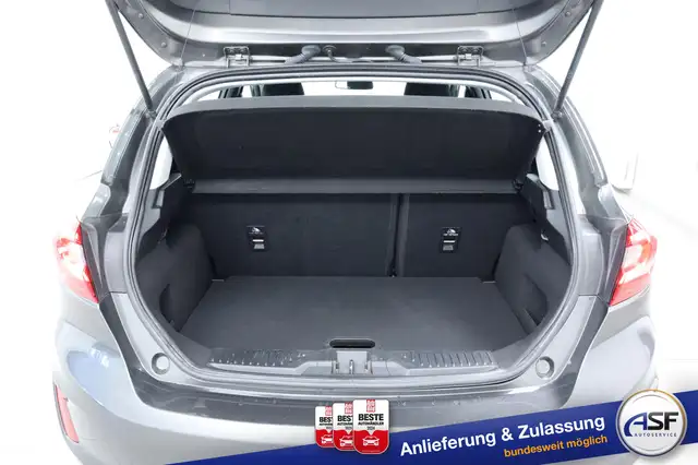 Ford Fiesta view 10