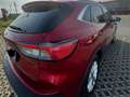 Ford Kuga 1.5 ecoblue Titanium 2wd 120cv Rosso - thumbnail 8