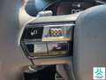 DS Automobiles DS 3 BlueHDi 96 kW  Auto. Performance Line Grijs - thumbnail 21