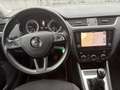 Skoda Octavia Octavia SW 1.6 CR TDi 1e PROP-NAVI-EUR6D Gris - thumbnail 10