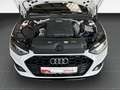 Audi A4 Avant S line 35 TDI S tronic /Sitzthz/Navi Weiß - thumbnail 18