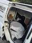 Ford Courier ZAHNREMEN. GERISEN. !!!!! - thumbnail 11