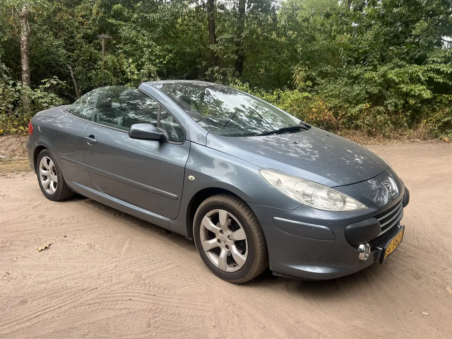 Peugeot 307 1.6-16V Szürke - 2