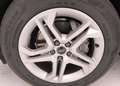 Audi Q5 Q5 Business Advanced quattro s-tronic Grau - thumbnail 19